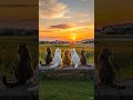 8 HOURS Calm Piano Music For Relaxing, Meditation, Sleep, Study.