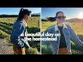 Life On The Homestead | Thrifting, Gardening, Pickling, &amp; Home Decor Updates