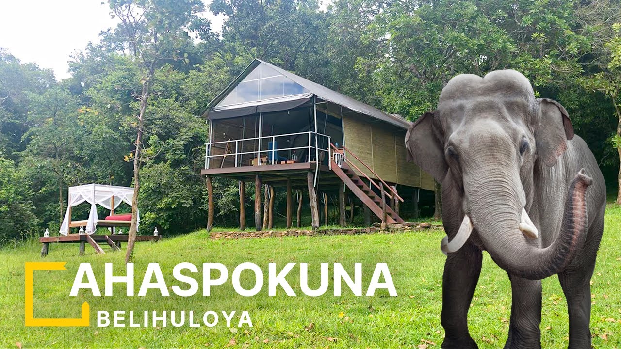 Ahaspokuna bush walks camps | Camping | Trekking - Sri Lanka