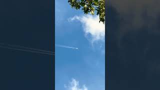 A350 Sighting!
