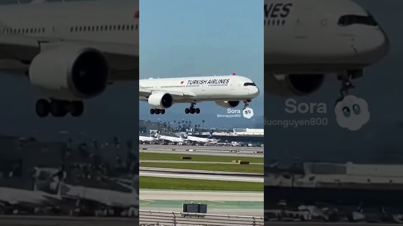 Turkish airlines Airbus a350-951 landing in Los Angeles international airport