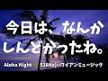 【途中広告なし・12時間】今日は、なんかしんどかったね。🌴 ハワイアン睡眠BGM｜528Hz｜波音｜ハワイアンミュージック