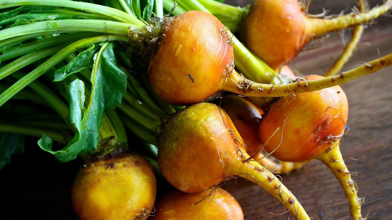 How to Save Beet Seed Where Do Beet Seeds Come From YouTube