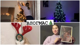 ВЛОГМАС🎄Украшаю Квартиру || Сдаю Итоговое Сочинение