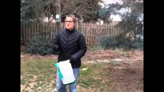 Dormant Seed - Storm