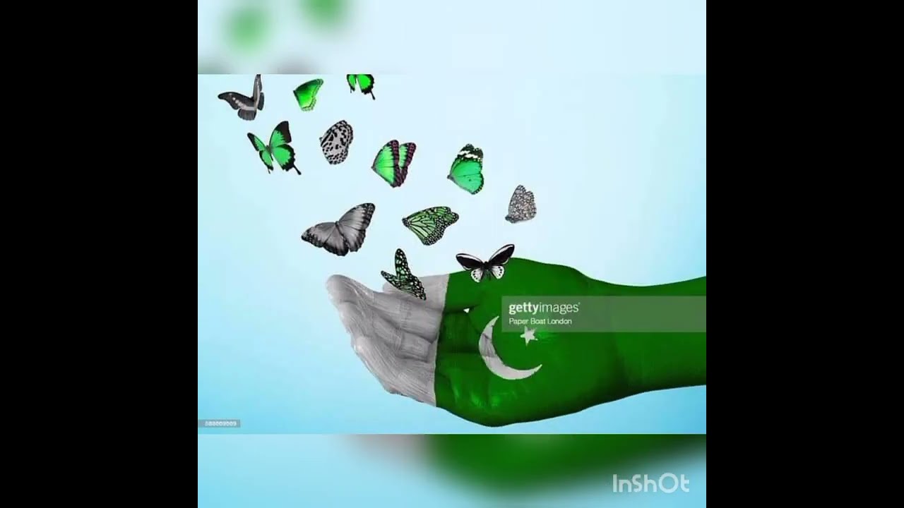 Independence Day of Pakistan special DP WhatsApp status 14 August special 🇵🇰🇵🇰🇵🇰