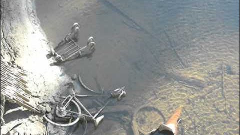 Myaskovsky: String Quartet #9 in D Minor, Op. 62 - I Allegro inquieto