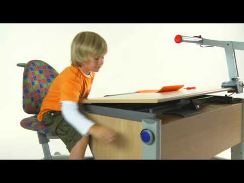 Les Bureaux Moll Grandissent Avec Votre Enfant