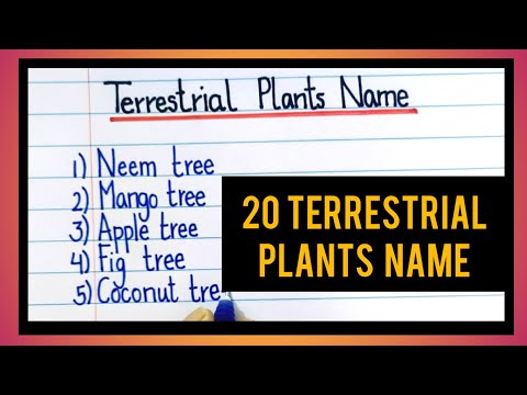 terrestrial plants name|names