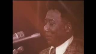 Got My Mojo Working - Muddy Waters LIVE 1971