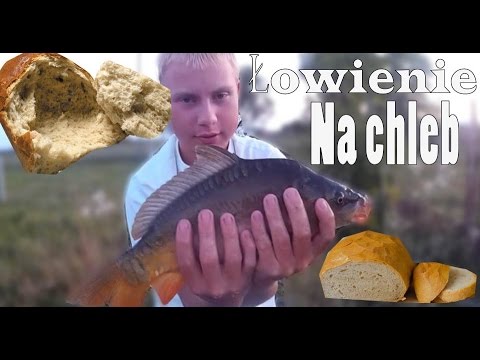 Wideo: Jak łowić Chleb