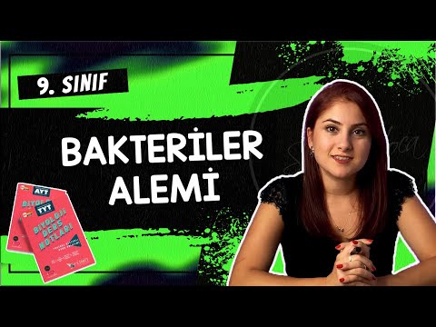 19) BAKTERİLER ALEMİ | 9. SINIF | TYT BİYOLOJİ DERS NOTLARI | 2024