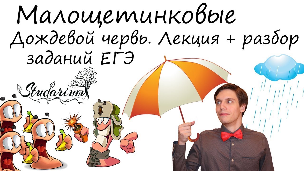 Посты с сайта studarium.ru