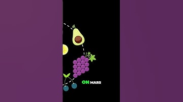 AI: Your Creative Brainstorming Partner