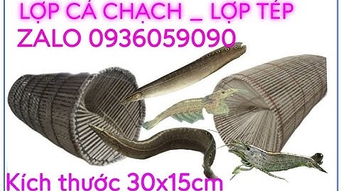Bán lợp cá chạch. Bán lợp tép. Bán bẫy cá chạch. Bán bẫy tép. Bán lợp cá bóng dừa. Bán lờ cá chạch.