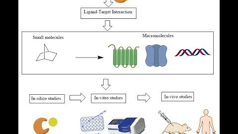 ChemDraw tutorial 3 - Molecular docking