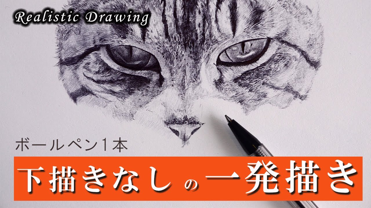 イラストメイキング ボールペンでラクガキしてたら止まらくなった ボールペン１本で猫を描く 文房具 筆記用具 Drawing Cat Youtube