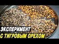 ПРИКОРМКА ДЛЯ КАРПА. Эксперимент на производстве LION BAITS. Розыгрыш призов!