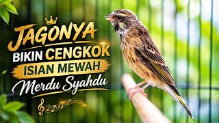 SUARA BLACKTHROAT GACOR CENGKOK MEWAH MERDU SYAHDU BUAT MASTERAN BURUNG BAHAN GANTANGAN