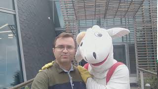 Ile Lat W Roku 2019 Miał Koziołek Matołek?