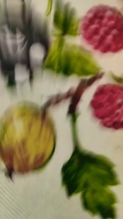 много орео и Мисс Циркуль не бывает🤭🤭 - YouTube