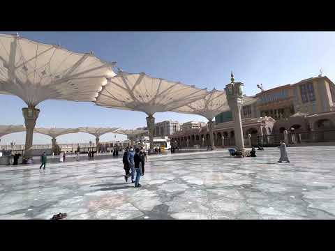 أرواحنا مشتاقة تهفوا الى لقى الرسول