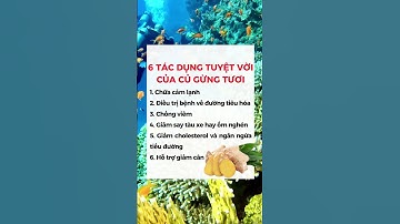 6 TÁC DỤNG TUYỆT VỜI CỦA CỦ GỪNG TƯƠI #dsdaiminh #health #shorts