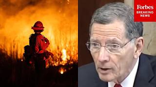'Rural Communities In The West Are Bracing': John Barrasso Urges Preparedness For Wildfire Season