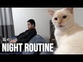 猫とゆめまると私のナイトルーティン