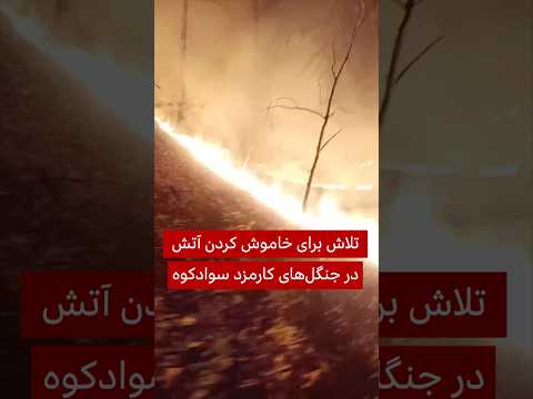 تلاش برای خاموش کردن آتش در جنگل های کارمزد سوادکوه