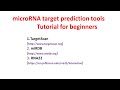 Mirna target prediction tools tutorial  targetscan  mirdb  rna22