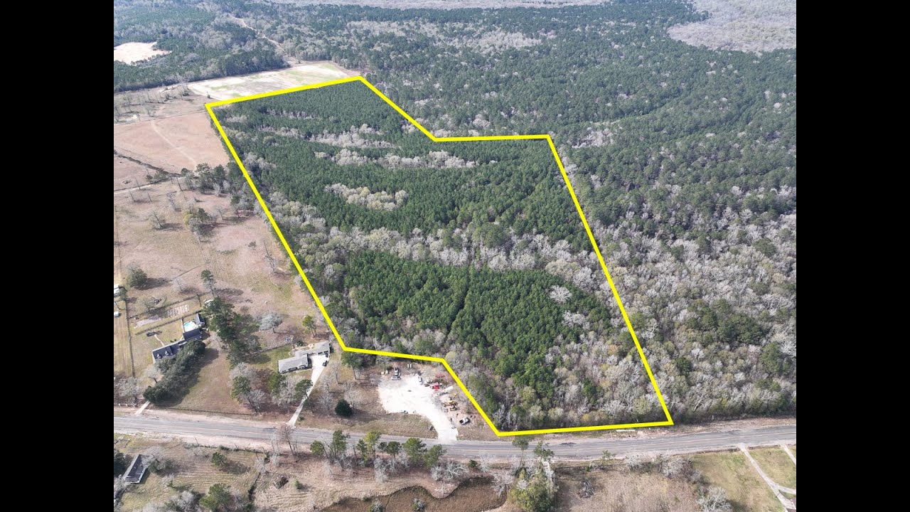 56 acres | Highway 1131 | Orange Co., Texas