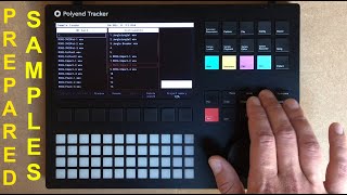 Famous "Prepared" Samples: Stazma Polyend Tracker Tips & Tricks Wealth