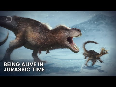 Video: Trăim în epoca mezozoică?