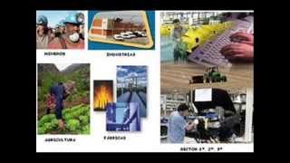 Sectores Económicos