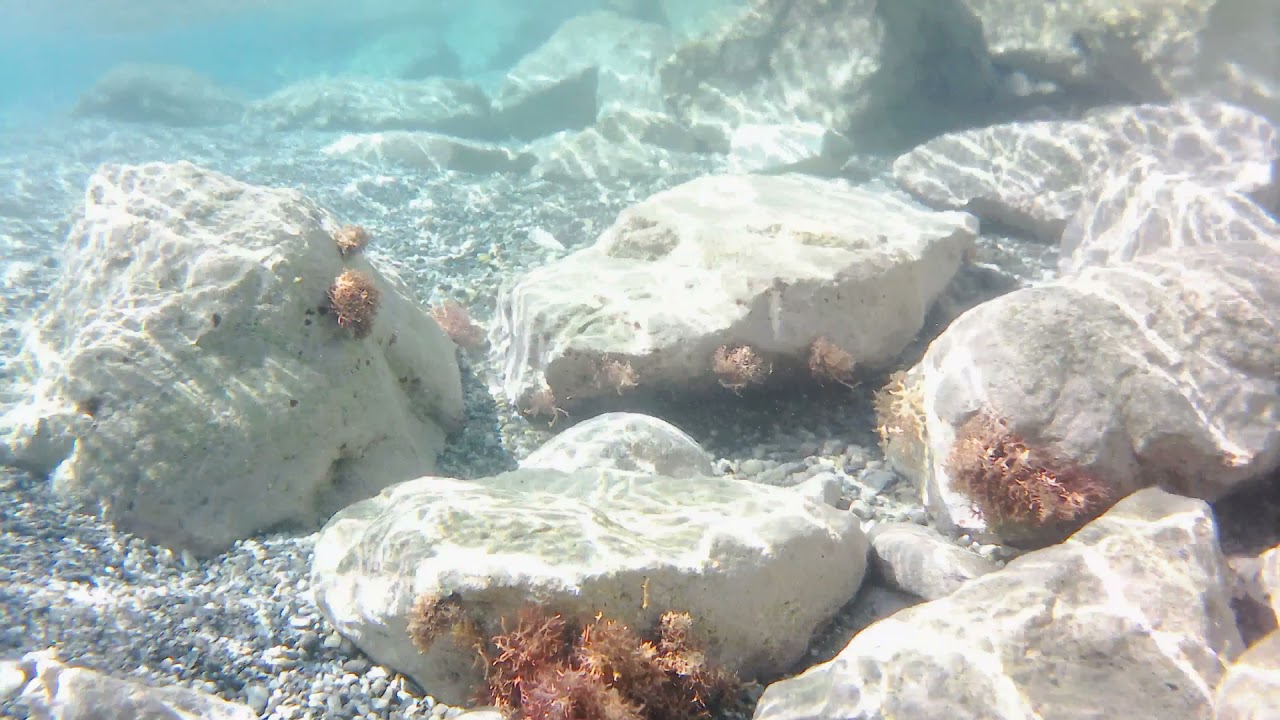 REGGIO CALABRIA, ACQUE ANTISTANTI LA SPIAGGIA DI BOCALE