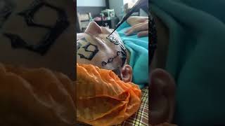 6Ix9Ine Tattoo? Double Clone ?