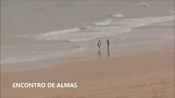Para que serve a farinha de arroz?