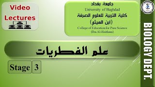 3: 2 اهمية و تصنيف الفطريات - محاضرات علم الفطريات