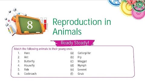 Class 4th SCIENCE #Ch-8-Reproduction in Animals (Part -2)