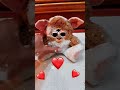 بومه باله للبيع 