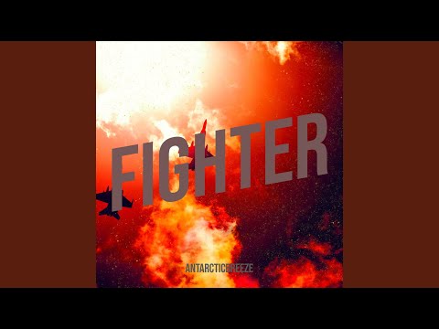 Fighter