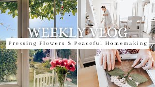 WEEKLY VLOG |  flower pressing, homemaking, flower arranging, cleaning