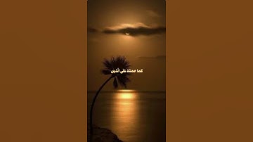 لا يكلف الله نفسا إلا وسعها بصوت فارس عباد #سورة_البقرة #فارس_عباد #اكسبلور #قرآن_كريم #المصحف