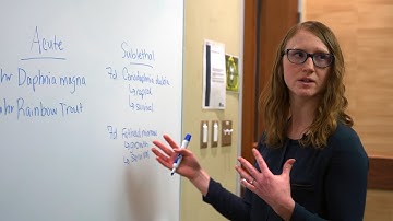 Occupational Video - Toxicologist