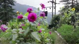 YMCA Shimla - Documentary