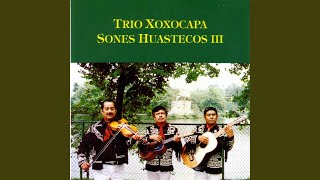 Video thumbnail of "Trío Xoxocapa - Las Tres Huastecas"