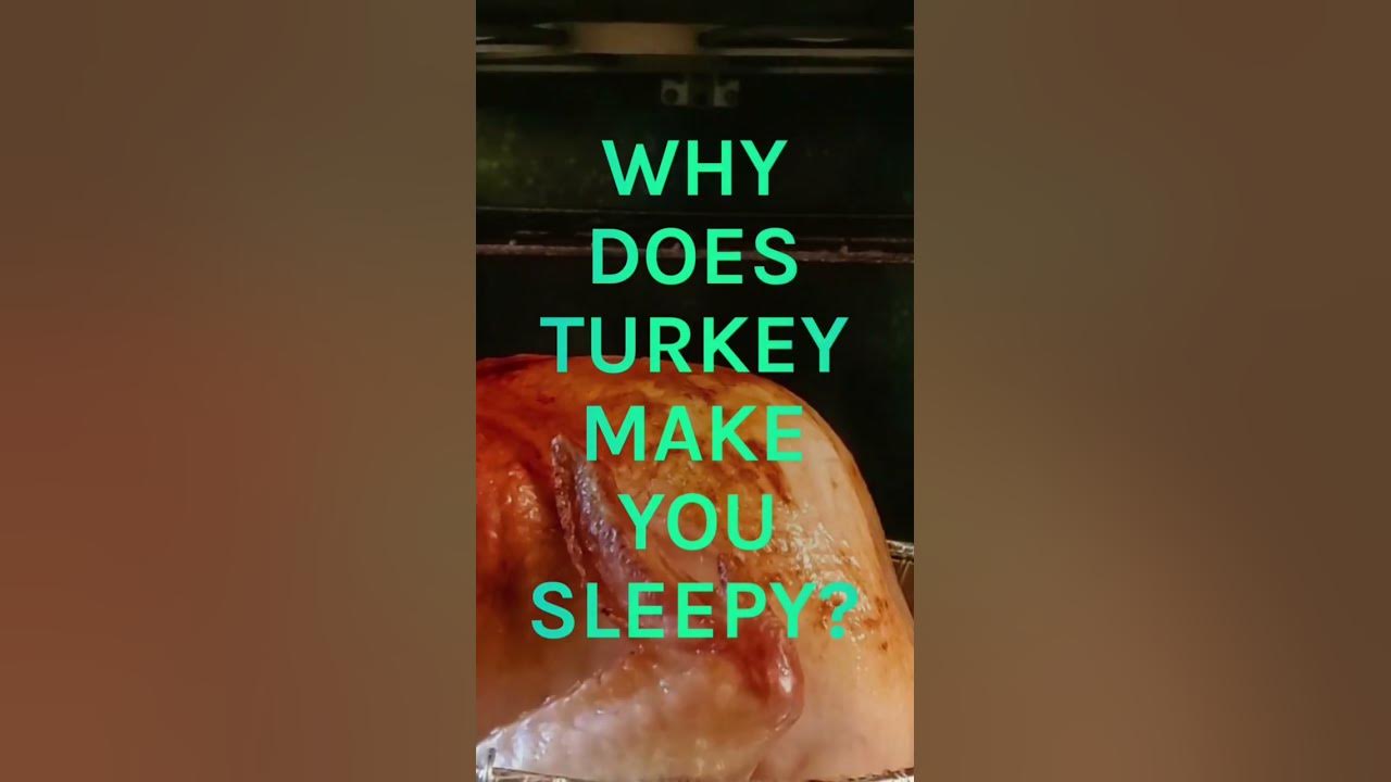 Sleep Fact: Why Does Turkey Make You Sleepy? - YouTube - Ingredient In Turkey That Makes You Sleep