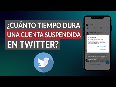 ¿Cuánto Tiempo Dura una Cuenta Suspendida en Twitter y Cómo Recuperarla?