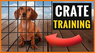 Use These Tips To Crate Train Your Dachshund!